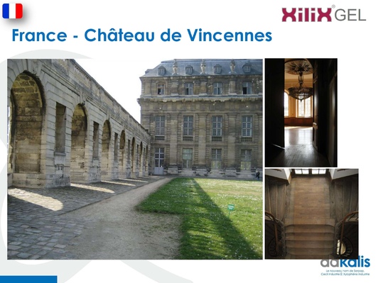 Замок Винсеннес, Франция, обработка инсектицидом XILIX® Gel - фото