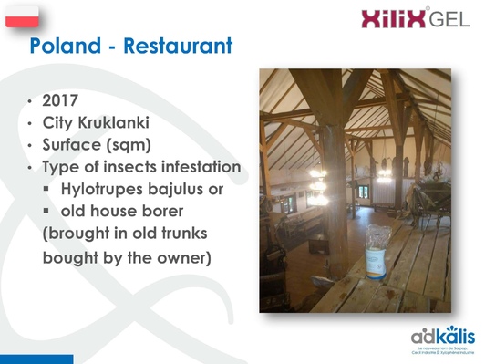 Ресторан, Польша, 2017 г., обработка инсектицидом XILIX® Gel от Домового усача - фото 1