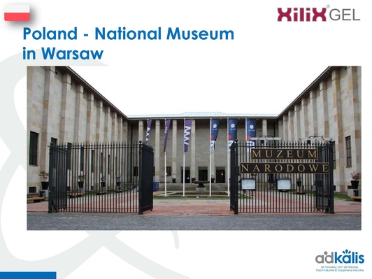 Национальный музей в Варшаве, Польша, обработка инсектицидом XILIX® Gel - фото