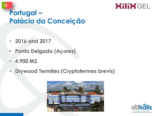 Понта-Делгада (Азорские острова), Португалия, 2016-2017 г., обработка инсектицидом XILIX® Gel от термитов - фото 1