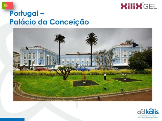 Понта-Делгада (Азорские острова), Португалия, 2016-2017 г., обработка инсектицидом XILIX® Gel от термитов - фото 2