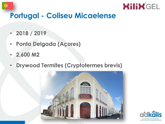 Колизей Micaelense, Португалия, 2018-2019 г., обработка инсектицидом XILIX® Gel от термитов - фото 1
