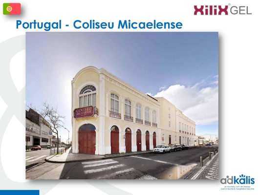 Колизей Micaelense, Португалия, 2018-2019 г., обработка инсектицидом XILIX® Gel от термитов - фото 2