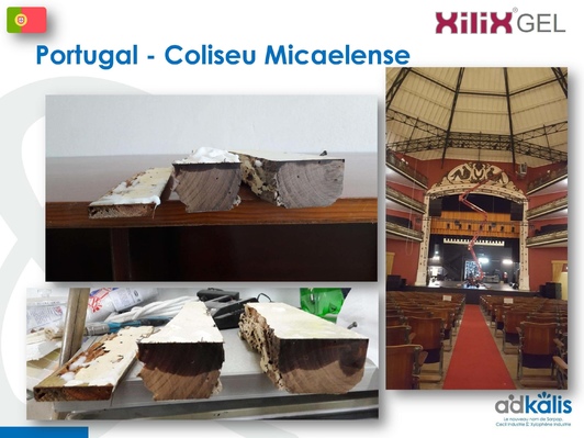 Колизей Micaelense, Португалия, 2018-2019 г., обработка инсектицидом XILIX® Gel от термитов - фото 5