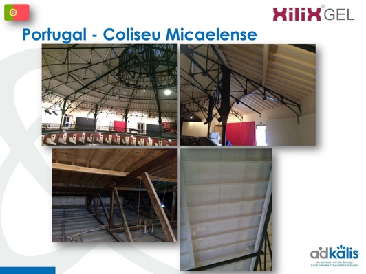 Колизей Micaelense, Португалия, 2018-2019 г., обработка инсектицидом XILIX® Gel от термитов - фото 6