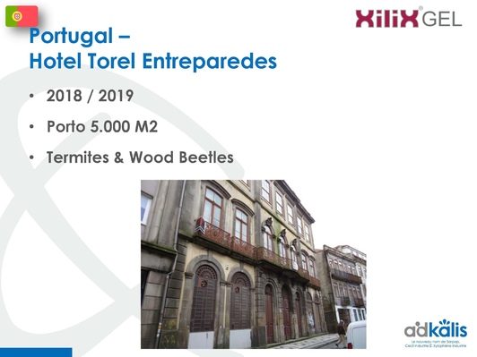 Отель Torel Entreparedes, Португалия, 2018-2019 г., обработка инсектицидом XILIX® Gel - фото 1