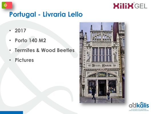Ливрария Лелло, Португалия, 2017 г., обработка инсектицидом XILIX® Gel от термитов и древесных жуков - фото 1