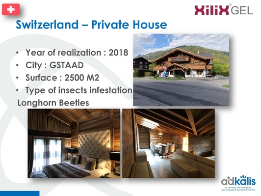 Деревянный дом, Гштад — деревня в кантоне Берн, Швейцария, 2018 г., обработка инсектицидом XILIX® Gel - фото