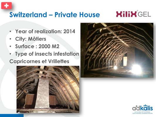 Частный Дом, Мотье, Швейцария, 2014 г., обработка инсектицидом XILIX®Gel от древесных жуков - фото