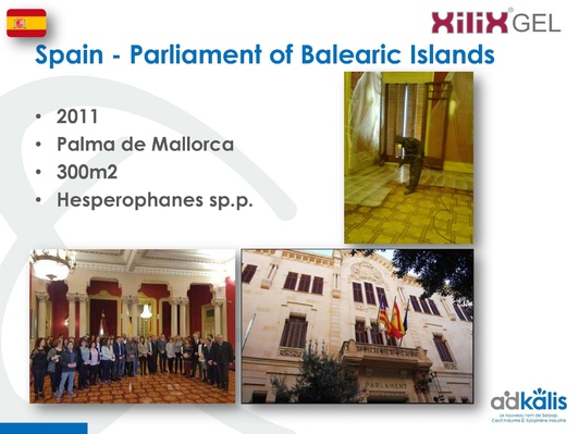 Парламент Балеарских островов, Пальма-де-Майорка, Испания, 2011 г., обработка инсектицидом XILIX® Gel от усача - фото