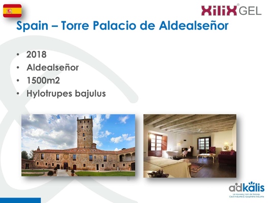 Башня Дворец Альдальсеньор, Испания, 2018 г., обработка инсектицидом XILIX® Gel от домового усача - фото